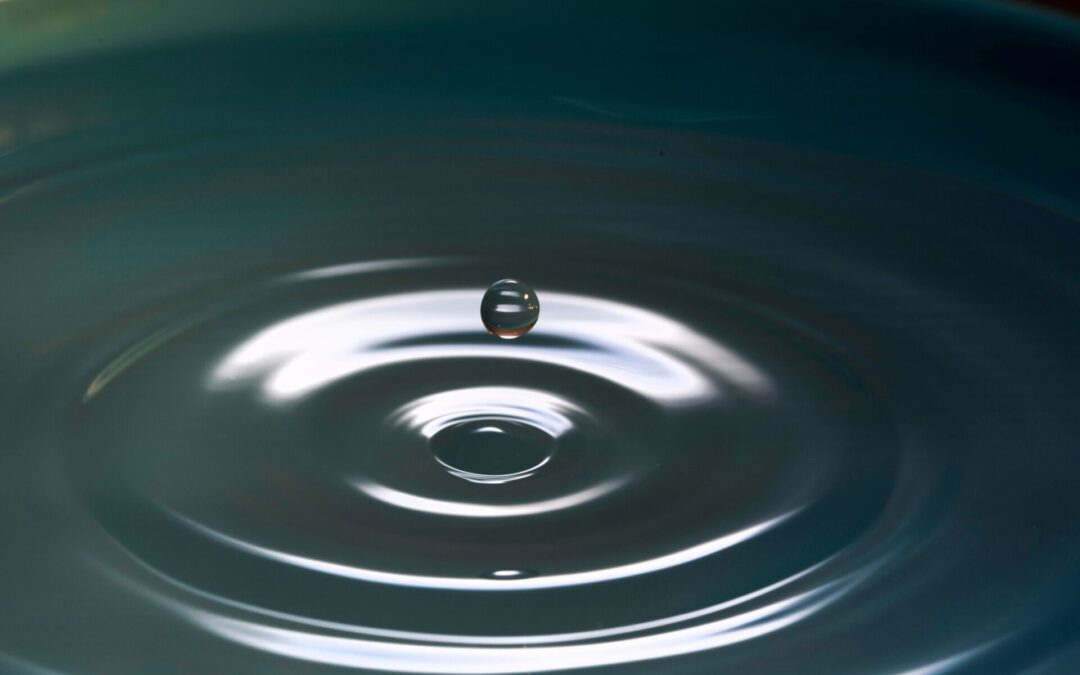 Experimentar Mindfulness