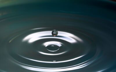 Experimentar Mindfulness